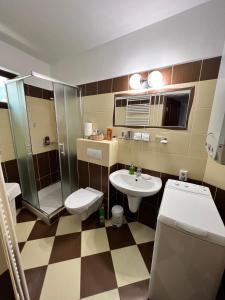 y baño con aseo, ducha y lavamanos. en Vilmos apartman, en Pécs