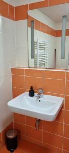 Kúpeľňa v ubytovaní Apartmán Pavlov Pálavské vinohrady