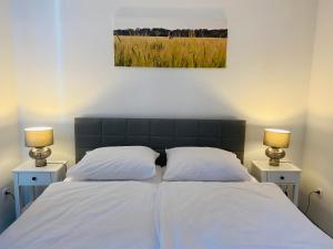 Postel nebo postele na pokoji v ubytování Maja apartman