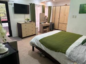 a bedroom with a bed and a desk and a television at Entire apartment 