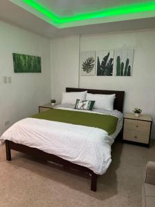 a bedroom with a large bed with a green ceiling at Entire apartment 