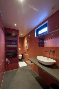 bagno con grande lavandino e servizi igienici di Hoteldebootel 's-Hertogenbosch met prive sauna a Den Bosch