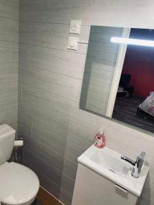 a bathroom with a toilet and a sink and a mirror at Chambre indépendante in Saint-Chély-dʼApcher