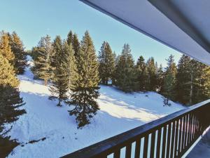 Chamrousse 1750 Roche Bérenger Le Panoramic 613 - Classé 3 étoiles v zimě