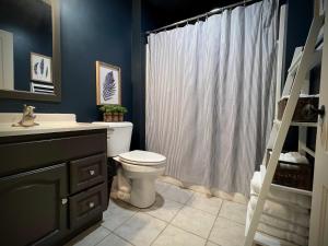 a bathroom with a toilet and a shower curtain at Bluffside cottage with gorgeous river views in Fountain City