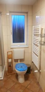 a bathroom with a blue toilet with a window at Ferienhaus Möwe in Hessenburg +27 photos