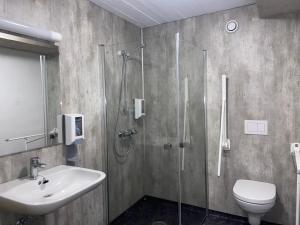 a bathroom with a shower and a sink and a toilet at Winjum Hostel Stegastein in Aurland