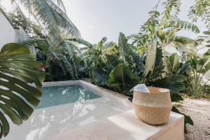 uma piscina num jardim com palmeiras em Casa La Sultana: Amazing new house with pool em Valladolid