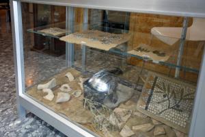 Gallery image of Italica Hostel in Santiponce