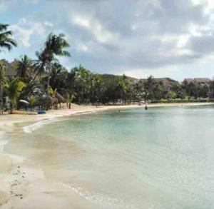 a beach with palm trees and the water at Villa Talia, Relax, beach & Nature in Puerto Aventuras