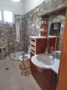 W łazience znajduje się umywalka, prysznic i toaleta. w obiekcie Villa Stella w mieście Florina