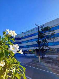 a building with a street in front of it with white flowers at Hotel Castelo Branco in Foz do Iguaçu