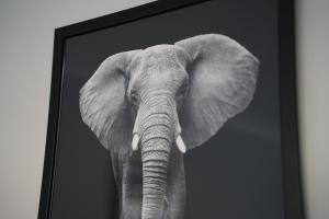 ein schwarzweißes Bild eines Elefanten in einem Bilderrahmen in der Unterkunft Keir Hardie House in Larkhall