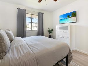 Digital Nomads Haven Fast Wi-fi And Comfortable