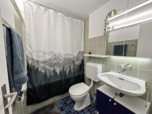 a bathroom with a toilet and a shower curtain at Chalet Ribi in Grindelwald