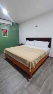 1 dormitorio con 1 cama grande en una habitación en Noas Hotel en Matamoros