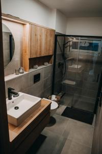 ein Bad mit einem Waschbecken, einer Dusche und einem WC in der Unterkunft Apartmán Ústí in Hranice