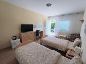TV a/nebo společenská místnost v ubytování Cozy Room with garden in Bratislava
