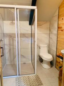 een badkamer met een douche en een toilet bij Parque Cueva de los Leones - Rimusa Inn in Creel