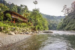 a river with houses on the side of a mountain at back to nature ecotourism in Bukit Lawang