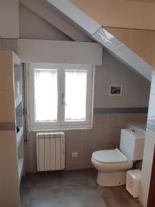 a bathroom with a toilet and a window at Apartamentos El Jornu in Llanes