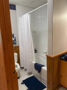 a bathroom with a tub and a toilet and a shower at 2 bdrm Tremblant Haven-pets & spa-walk/ski to hill in Mont-Tremblant +10 photos