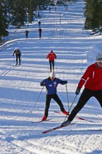 Esquiar en el lodge o alrededores