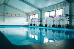 a swimming pool with potted plants and water at Duikresort Sub Ocean Hotel in Oud-Vossemeer