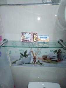 - une étagère en verre au-dessus des toilettes dans la salle de bains dans l'établissement Mi hermosa Casita con baño y cocina privados, à Lima