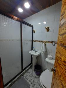 a bathroom with a toilet and a sink at Cabañas La Palma in Mineral de Angangueo