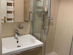 a bathroom with a sink and a shower at Appartement F2 avec balcon, à 2 pas de la plage, parking privé, animaux admis - FR-1-482-113 in Fort-Mahon-Plage +9 photos
