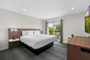 una camera d'albergo con letto e finestra di Cedar Street Hotel & Suites a Sandpoint