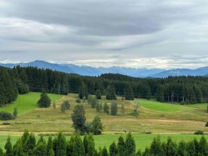 a green field with trees and mountains in the background at Modernes Apartment mit 180° Bergblick in Buchenberg +4 photos