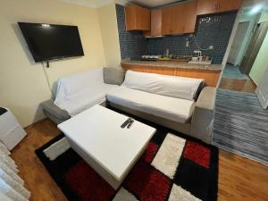 ein Wohnzimmer mit einem Sofa und einem Tisch in der Unterkunft Double teras in center in Istanbul