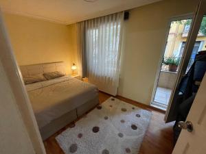 Schlafzimmer mit einem Bett, einem Fenster und einem Teppich in der Unterkunft Double teras in center in Istanbul