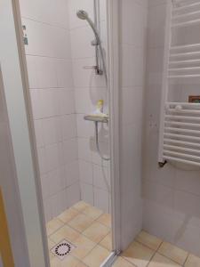 La salle de bains est pourvue d'une douche avec une porte en verre. dans l'établissement Petit studio - Chambre indépendante au calme, à Landerneau