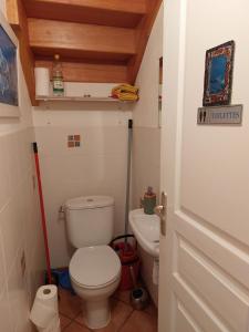 La petite salle de bains est pourvue de toilettes et d'un lavabo. dans l'établissement Petit studio - Chambre indépendante au calme, à Landerneau