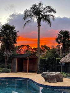 a house with a swimming pool and a palm tree at Palms on Bruntwood in Tamahere