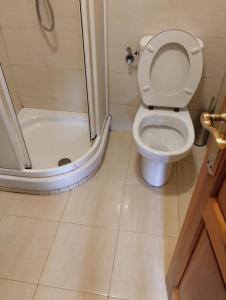 a bathroom with a toilet and a shower at Habitaciones Restaurante Asador el Puente Galdames in San Pedro de Galdames