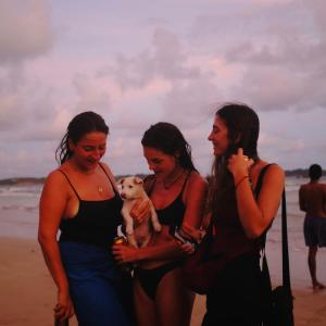 three women standing on the beach with a dog at The Lost Hostels, Weligama Beach - Sri Lanka in Weligama
