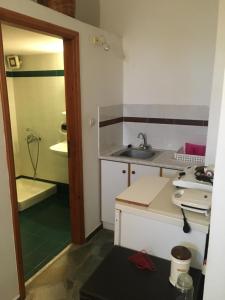 a small kitchen with a sink and a shower at Youth Ηostel Archipelagos - semi basement studio at Possidonia in Ano Syros