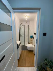 ein Bad mit einer Dusche, einem Waschbecken und einem WC in der Unterkunft Apartament Jarosław in Jarosław