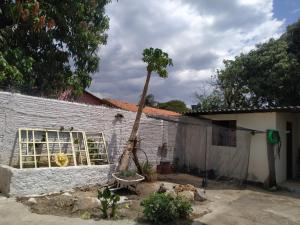 a palm tree leaning against a building with a window at Casa Aloe Vera in Cavalcante