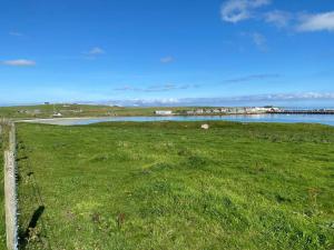 un campo de hierba verde junto a un cuerpo de agua en 2 Bedroom house overlooking Pierowall Bay, Westray, en Pierowall