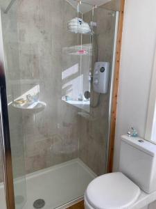 a shower with a glass door next to a toilet at 2 Bedroom house overlooking Pierowall Bay, Westray in Pierowall