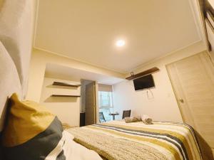 una camera da letto con un letto e una TV a parete di Amplia habitación privada con baño privado y TV a Lima Altre 22 foto