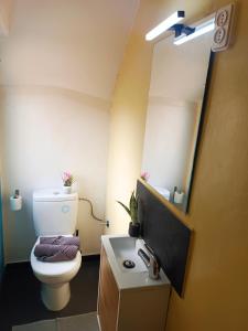 uma casa de banho com um WC, um lavatório e um espelho. em By Plaza Real Rooms em Barcelona