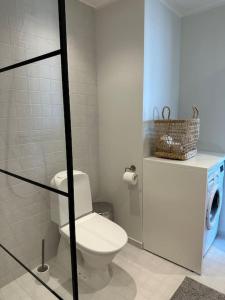 ein Bad mit einem WC und einem Korb auf der Theke in der Unterkunft Cozy apartment near to the beach in Pärnu