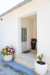 a front door of a house with two potted plants at Studio apartman Maris in Kastel Stari