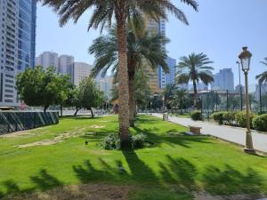 a park with palm trees in a city with buildings at Live Like A Family Home Away From Home in Sharjah